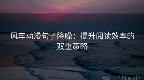 风车动漫句子降噪：提升阅读效率的双重策略