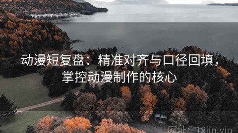 动漫短复盘：精准对齐与口径回填，掌控动漫制作的核心