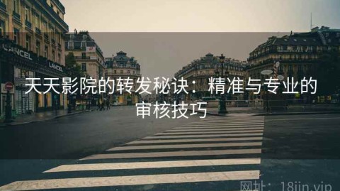 天天影院的转发秘诀：精准与专业的审核技巧