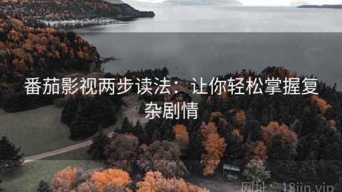 番茄影视两步读法：让你轻松掌握复杂剧情