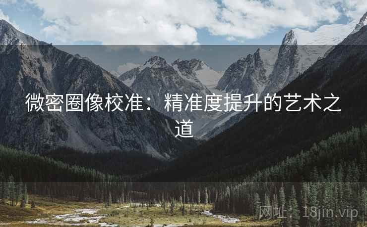微密圈像校准：精准度提升的艺术之道